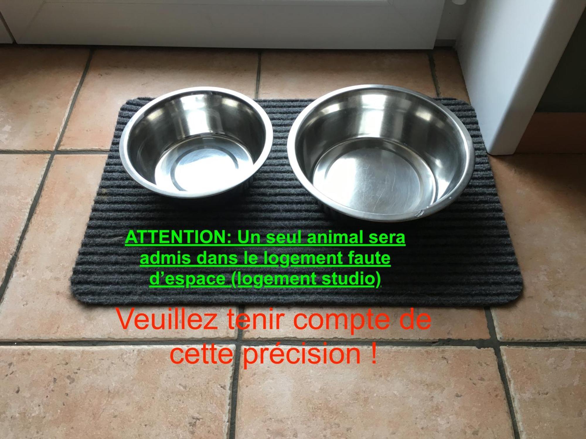 studio côté mer  la naturelle Wimereux Extérieur photo